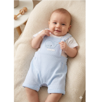 H13408NB: Baby Boys Waffle Fabric Dungaree & T-Shirt Set (0-9 Months)